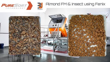 Almond FM & Insect Sort Using Fenix