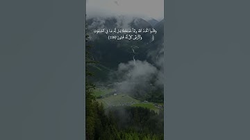سوره البقره الايات 116 117 #yasseraldossary