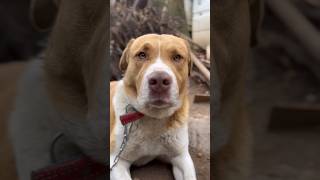 #gününsözü #motivationalvideo #motivasyon #trend #motivasyonsözü #tavsiye #keşfet #viral #cuteedit