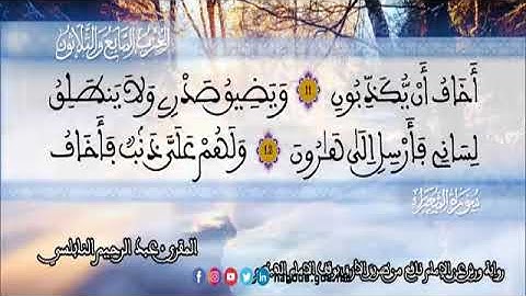 الثمن 5  من الحزب 37 رواية ورش عن نافع من المصحف المثمن بصوت القارئ عبد الرحيم النابلسي