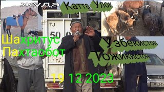картинка: Улок Шахритус жуда катта улок Тожикистон Узбекистон 19 12 2023 лаек