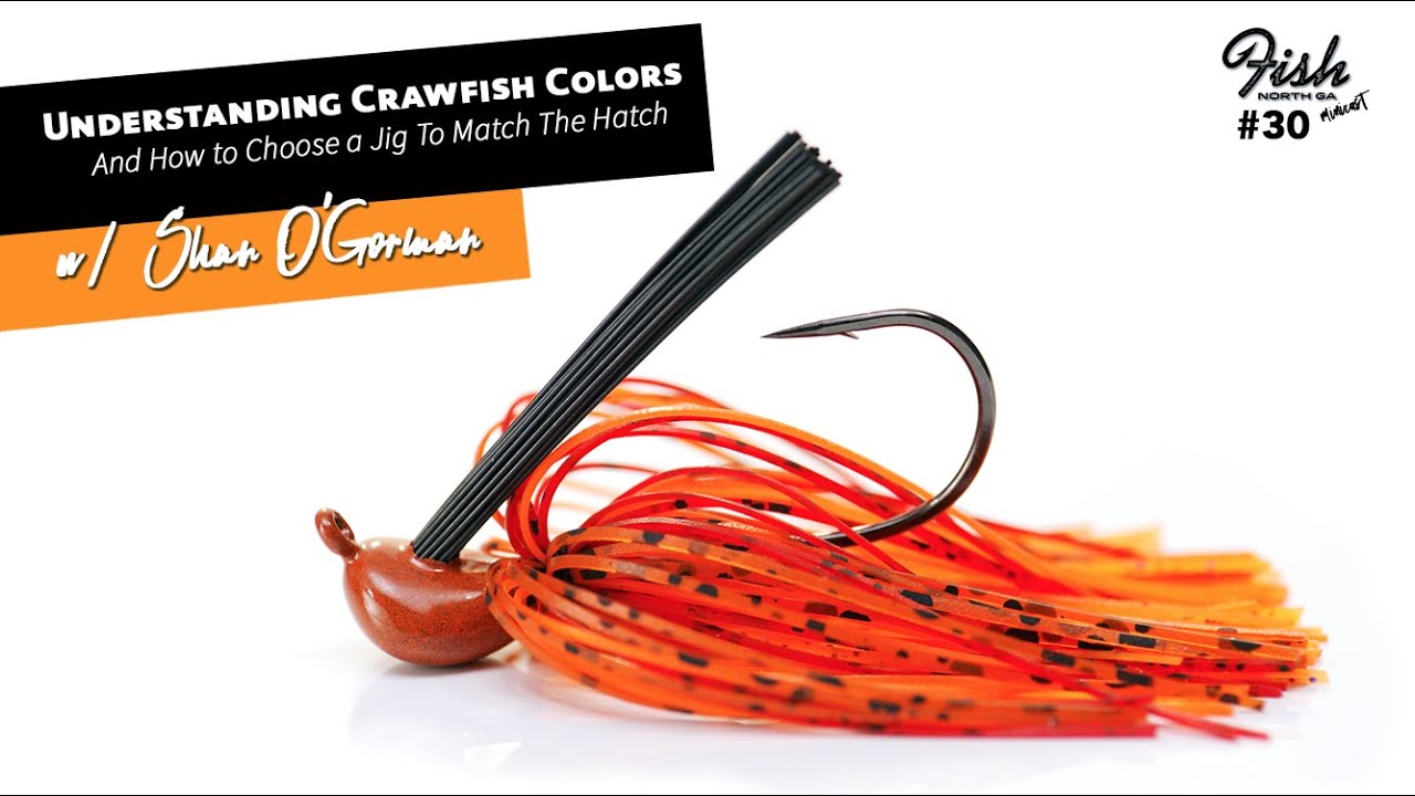 Understanding Crawfish Colors and How To Choose a Jig to Match the Hatch  w/Shan O'Gorman 