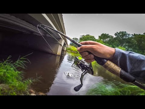 Fishing ONLY Bridges Challenge Bank Fishing Rivers