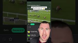 Best Horse Racing Tipster