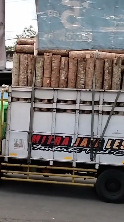 Truk Gila Muat Kayu Banyak