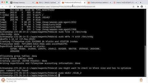 How to add a new disk to AWS instance and format lightsail disk