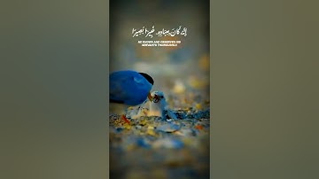 تلاوة قرانية هادئه من سورة  الاسراء |بصوت القارئ ياسر الدوسري | تلاوة 🙂 تريح القلب♥والروح😇#قرآن_كريم