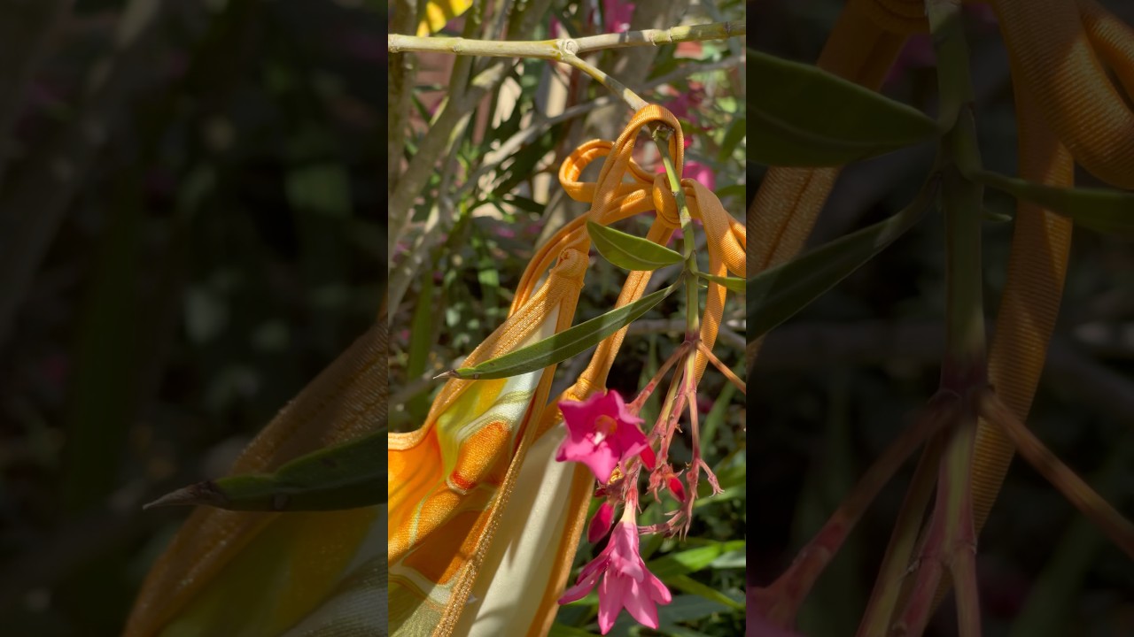 ASOS | River Island | Beach | 