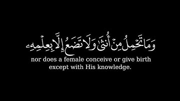 مَنْ عَمِلَ صَالِحًا فَلِنَفْسِهِ ] كروما شاشة سوداء قرآن - سورة فصلت | الشيخ د. ياسر الدوسري