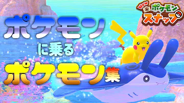 波乗りピカチュウ 厳選 波乗りピカチュウ 厳選
