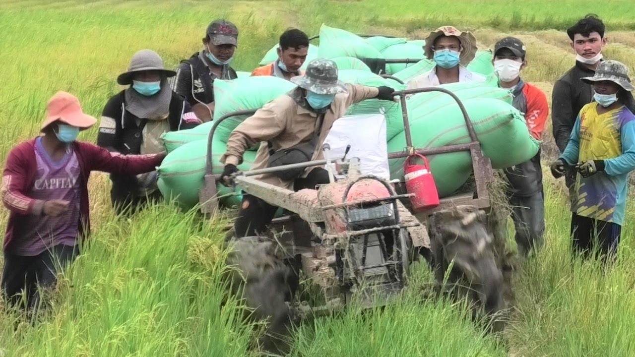 Good Works Tractors | Professional tractor driver on the farm. - YouTube