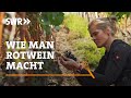 Wie man Rotwein macht | SWR Handwerkskunst