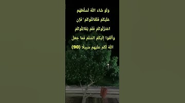 #قران_كريم #قرآن #قرآن_كريم #سورة_النساء  :  إِلَّا الَّذِينَ يَصِلُونَ إِلَىٰ قَوْمٍ بَيْنَكُمْ