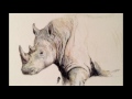 White Rhinoceros - Vanishing