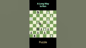 A Long Way to Run #chess #chesstricks #chessgame #chesscom #chesspuzzle #chesstactic #chessopening