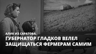 Губернатор Гладков велел защищаться фермерам самим. Алик из Саратова