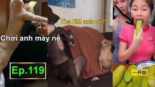 TIN VIỆT MỚI NHẤT 2022 - REVIEW BÌNH LUẬN HÀI HƯỚC VIDEO FUNNY TIKTOK MEME - FUNNY VIDEO Ep.119