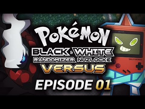 A LEGENDARY ENCOUNTER! - Pokémon Black & White Randomizer Nuzlocke Versus W/GameboyLuke! EPISODE 1