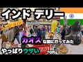 【インド】世界で1番カオスな国の首都デリー/ 声かけは全て無視しても絶対にタダでは済まない国/ 何事も無いわけがない/ キルギス人の友達ができた