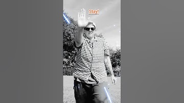 6 COMMON HAND SIGNALS USED FOR DOG TRAINING @VessPetTraining   #dogtraining #puppytraining #shorts