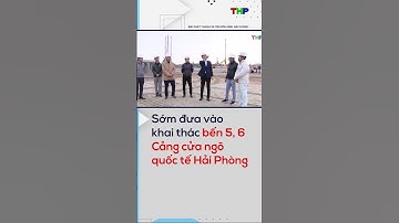 Sớm đưa vào khai thác bến 5, 6 Cảng cửa ngõ quốc tế Hải Phòng