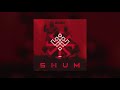 Go_A - Shum (Heldeus Remix)