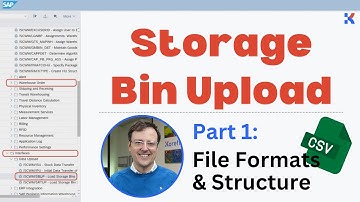 SAP EWM Storage Bin Upload Series | Part 1: Understanding Warehouse Structure & File Preparation