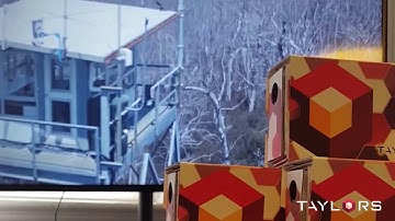 Focus On : Taylors Techniques | Reality Models