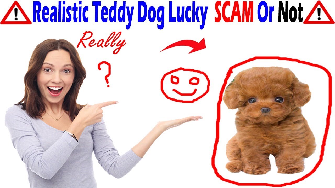 realistic dog teddy