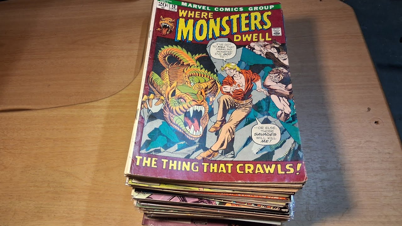 Я только что купил всю эту стопку комиксов за 40 долларов