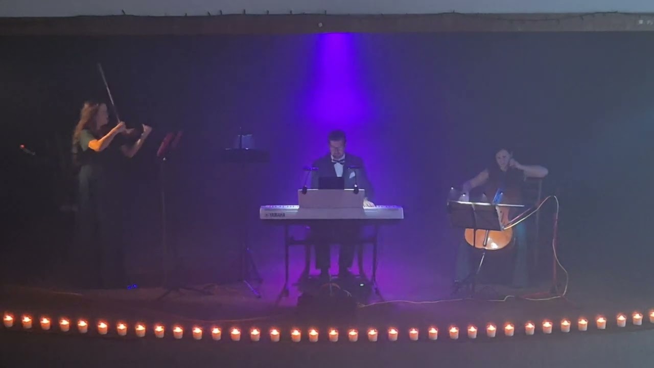 Howard Shore - Concerning Hobbits (The Lord of the Rings) | DPA Trio (live)