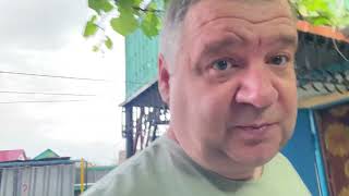 Дачный отдых. Открытие купального сезона. Мидии в сливочном соусе.