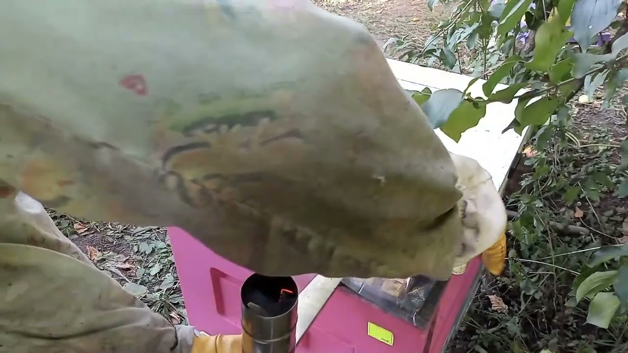 Вароджети замість дим-пушки: 