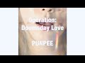 Operation : Doomsday Love - PUNPEE(cover)