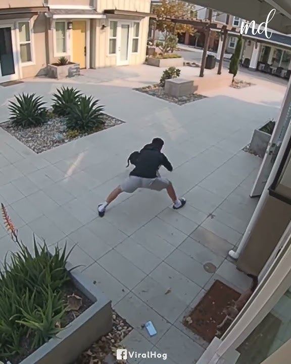 Adam kedisini pitbul saldırısından kurtarıyor. Böyle cesaret görmediniz. helal olsun...