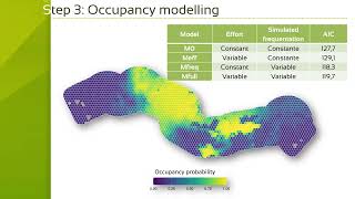 Ocapi Biodiversity Monitoring Thanks To More Intelligent Cameras