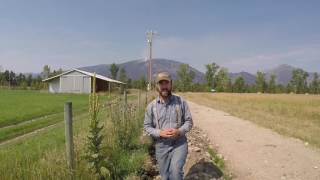 ABC acres: Carbon Accounting: "Weeds to Riches" - episode #042