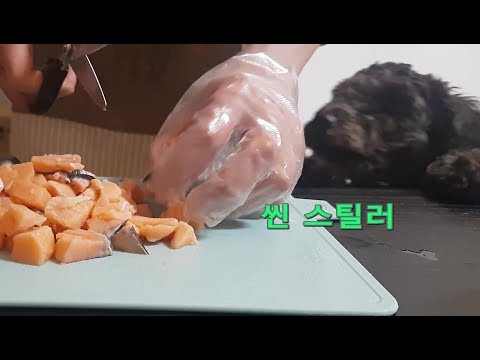 [따라하기쉬움]개밥을 부탁해(연어파스타)-강아지 수제사료만들기&먹방