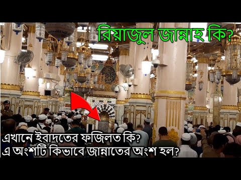 ভিডিও: জান্না শুলাকোভা: জীবনী, ব্যক্তিগত জীবন