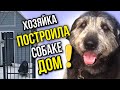 Хозяйка построила дом 60-ти килограммовой собаке Дине, которую трижды травили на улице