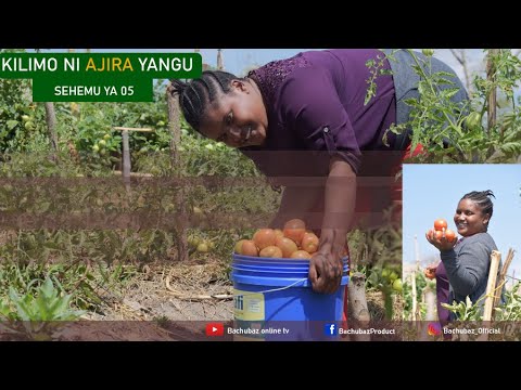 Video: Kilimo Sahihi Cha Miche