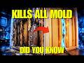 One Copper Cable Eliminates ALL Mold Forever — Why Is This Science HIDDEN?