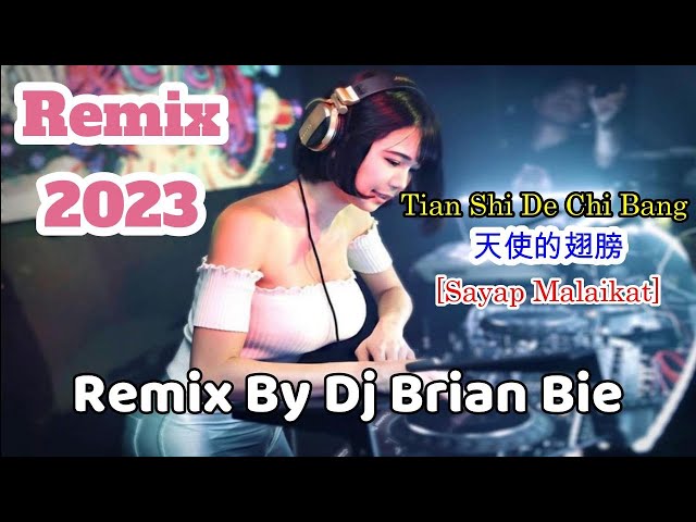 Tian Shi De Chi Bang ~ 天使的翅膀 (Sayap Malaikat) Electro Remix Manyao By Dj Brian Bie class=