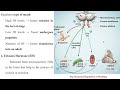 Lecture 10 Part 3 – The Moulting Process