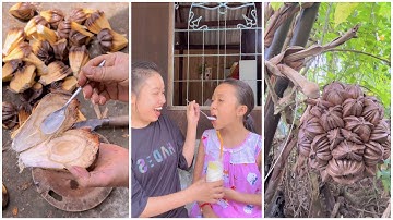 Đi tìm DỪA NƯỚC làm nước uống cực ngon cho bé Dzàng