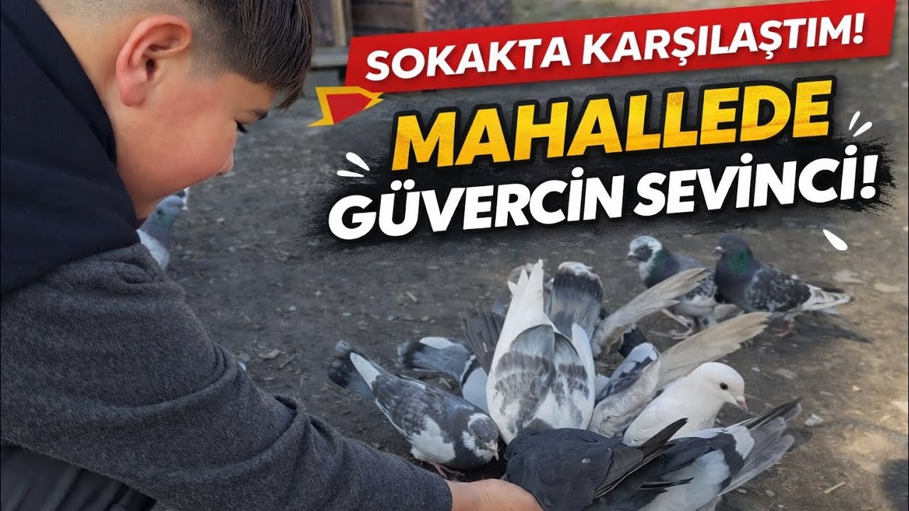 Şehirde Saklı Kalan Gelenek: Güvercin Uçuran Çocuklar