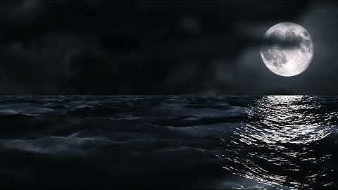 ["video"] - Mon, 24 Nov 2025 18:03:09 GMT