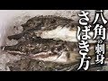 八角（トクビレ）のさばき方～骨切りと刺身