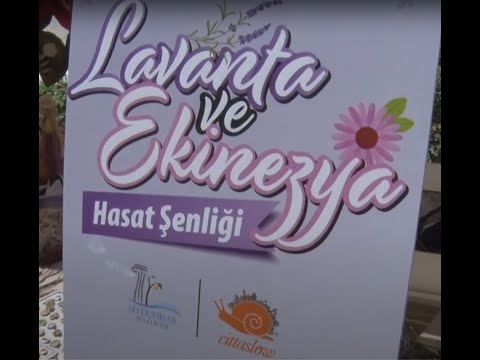 Lavanta ve Ekinazya Hasat Şenliği