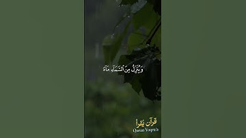 من آياته يريكم البرق خوفا #سورة_الروم #القرآن_الكريم #ماهر_المعيقلي #اكسبلور#راحة_نفسية #تلاوة_خاشعة